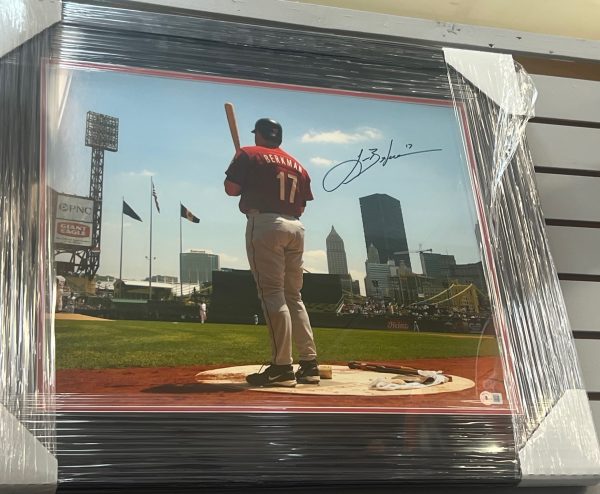 Custom-Framed Lance Berkman Houston Astros 16x20 Photo